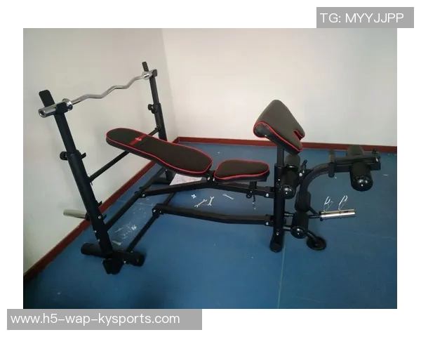 多功能健身器材套装全面提升家庭锻炼体验助你塑造完美身材